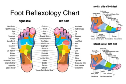 Wooden Foot Massage Roller